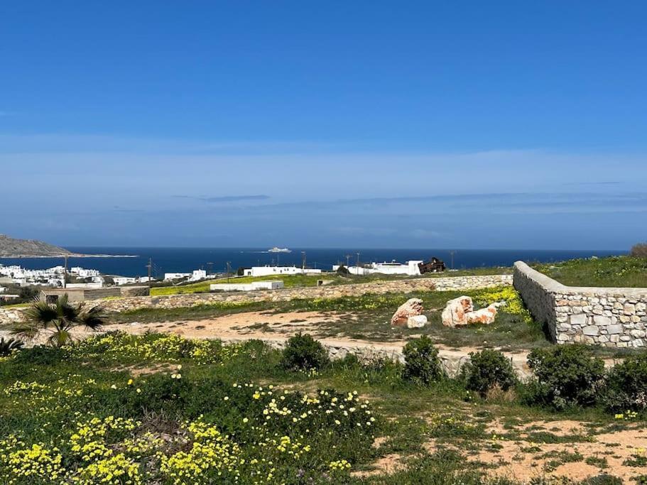 Aretousa Residence In Naoussa, Paros Exterior photo